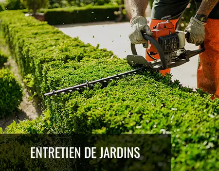 entretien de jardin La Ferté-Saint-Aubin