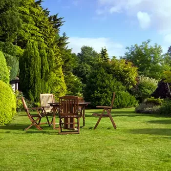 création jardin à Baccon